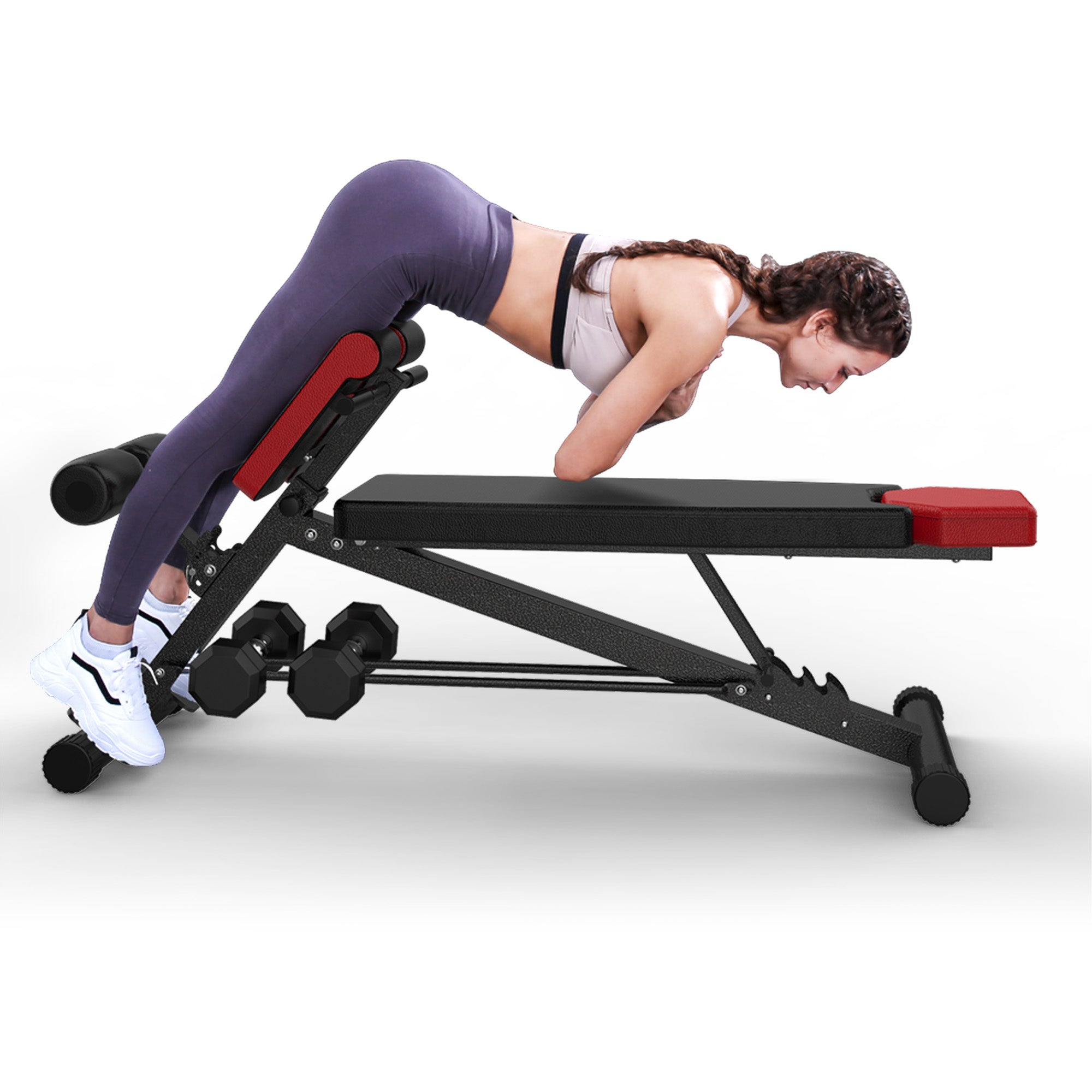 Professional Sit-Up Bench with 4 Adjustable Heights and Reverse Crunch  Handle, Adjustable Weight Bench and Flat, Incline & Decline Bench Press,  Great